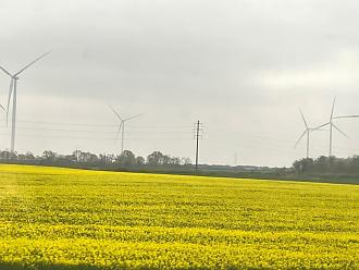 Click image for larger version  Name:	IMG_4222.jpg Views:	0 Size:	271.9 KB ID:	29209