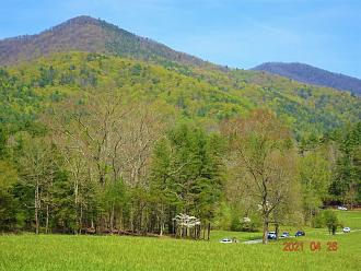 Click image for larger version  Name:	DSC01097.jpg Views:	82 Size:	444.4 KB ID:	29540