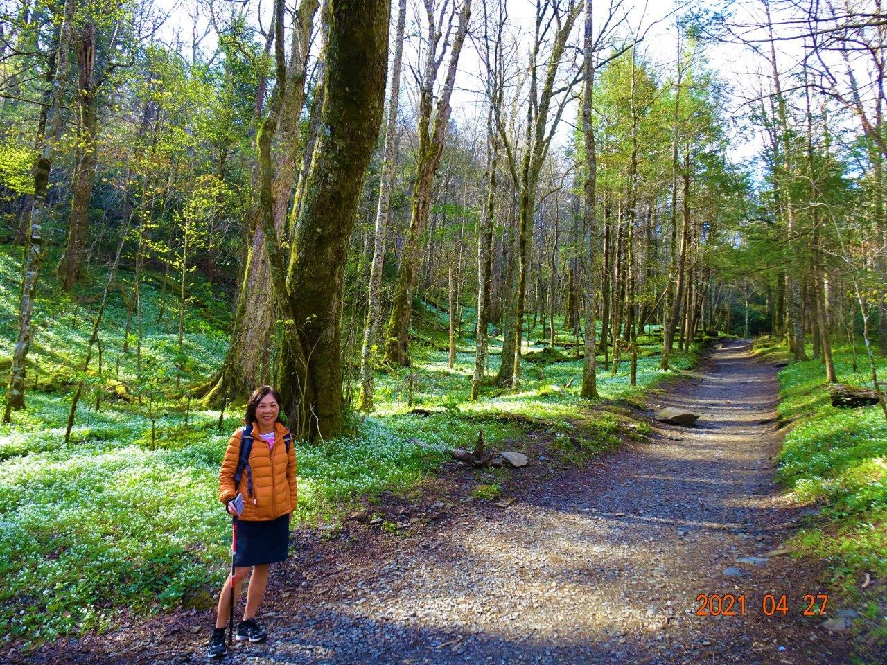 Click image for larger version

Name:	DSC01102.jpg
Views:	78
Size:	729.1 KB
ID:	29543