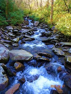Click image for larger version

Name:	DSC01105.jpg
Views:	135
Size:	381.2 KB
ID:	29544