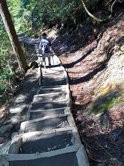 Click image for larger version

Name:	IMG_2771.jpg
Views:	137
Size:	442.3 KB
ID:	29548