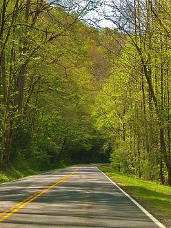 Click image for larger version

Name:	IMG_2855.jpg
Views:	124
Size:	406.1 KB
ID:	29554