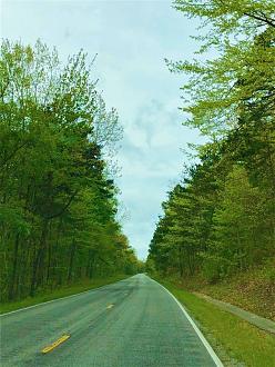 Click image for larger version

Name:	IMG_3142.jpg
Views:	121
Size:	325.9 KB
ID:	29571