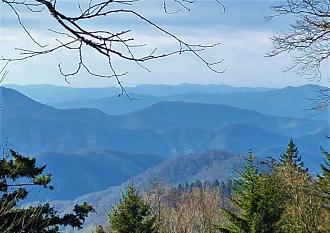 Click image for larger version

Name:	IMG_3304.jpg
Views:	133
Size:	185.0 KB
ID:	29580