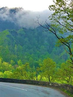 Click image for larger version

Name:	IMG_3281.jpg
Views:	133
Size:	145.7 KB
ID:	29583