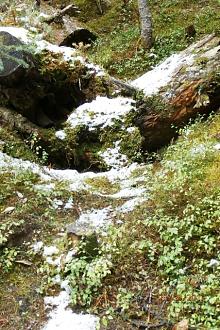 Click image for larger version  Name:	P9231606.jpg Views:	0 Size:	173.3 KB ID:	30668