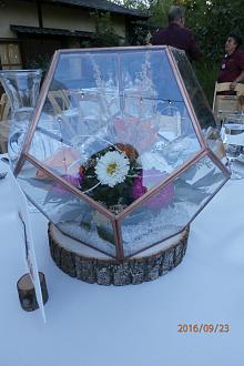 Click image for larger version

Name:	P9230275.jpg
Views:	168
Size:	139.7 KB
ID:	30902