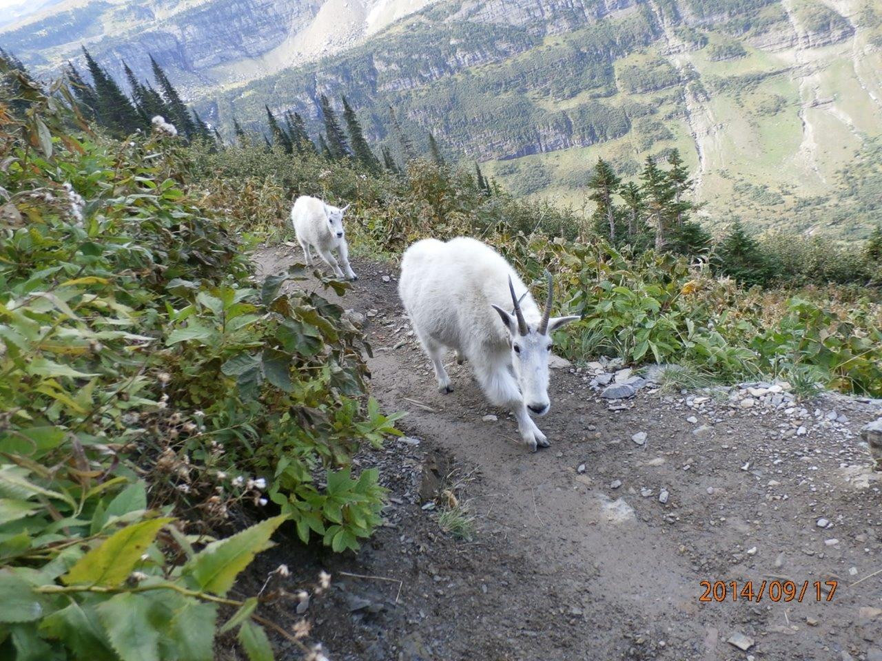 Click image for larger version

Name:	P9172435.jpg
Views:	83
Size:	474.3 KB
ID:	31020