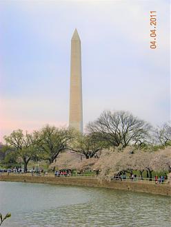 Click image for larger version  Name:	DSCN3075.jpg Views:	56 Size:	135.3 KB ID:	31029