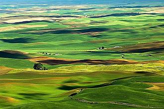 Click image for larger version  Name:	steptoe butte spring.jpg Views:	0 Size:	130.8 KB ID:	31117
