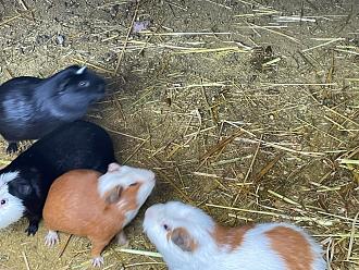 Click image for larger version  Name:	IMG_6906.jpg Views:	0 Size:	503.1 KB ID:	31421