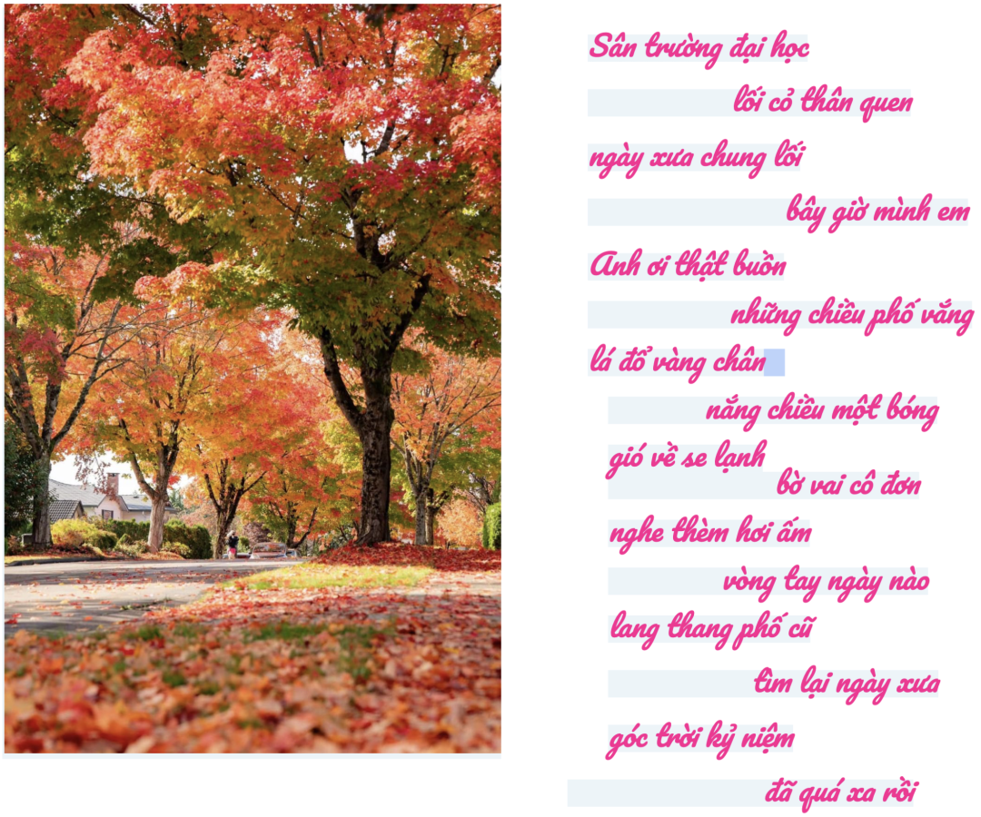 Click image for larger version

Name:	Screen Shot 2024-10-30 at 9.11.32 PM.png
Views:	65
Size:	1.18 MB
ID:	31532