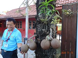 Click image for larger version  Name:	DSC03780.jpg Views:	3 Size:	489.9 KB ID:	31629