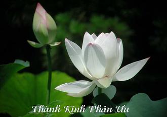 Click image for larger version

Name:	tkpu.jpg
Views:	69
Size:	41.7 KB
ID:	32035