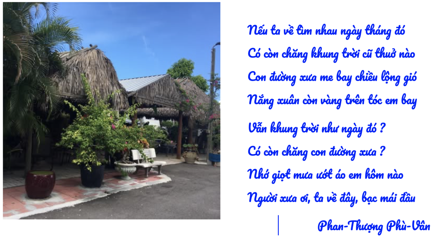Click image for larger version

Name:	Screen Shot 2025-06-22 at 8.43.04 PM.png
Views:	43
Size:	889.5 KB
ID:	32161