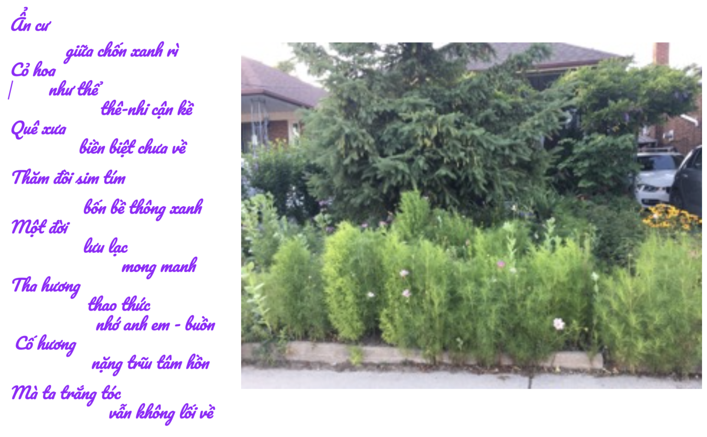 Click image for larger version

Name:	Screen Shot 2025-07-30 at 3.10.12 PM.png
Views:	35
Size:	1.04 MB
ID:	32167
