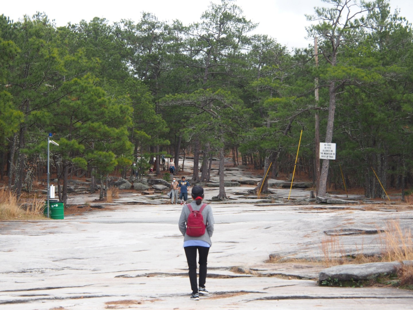 Click image for larger version

Name:	P1011009.jpg
Views:	21
Size:	455.8 KB
ID:	32971