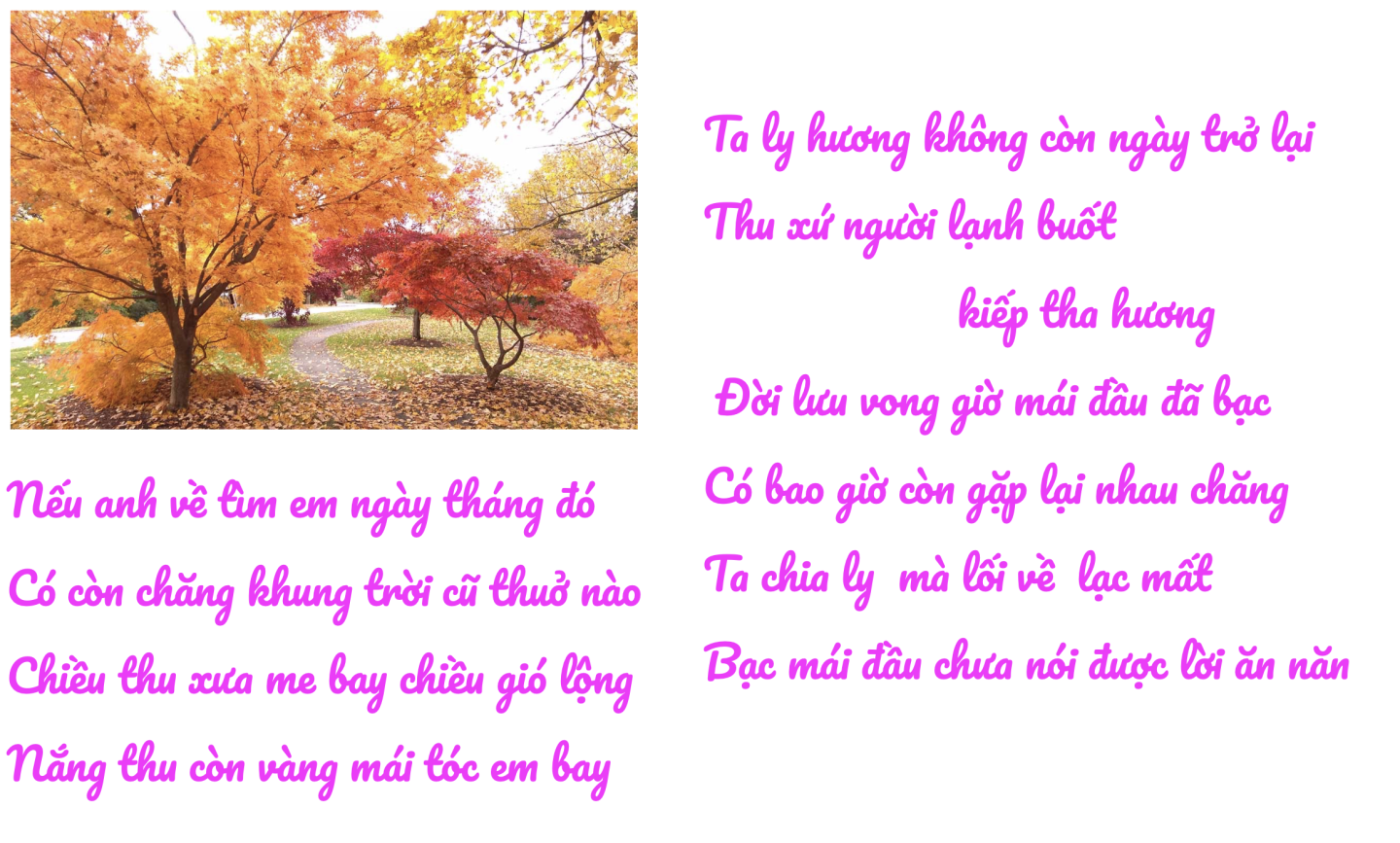 Click image for larger version  Name:	Screen Shot 2025-10-26 at 6.22.48 PM.png Views:	0 Size:	916.8 KB ID:	33012