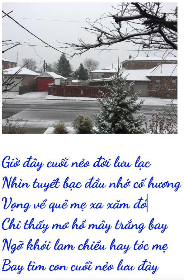 Click image for larger version

Name:	Screen Shot 2025-11-09 at 8.30.00 PM.png
Views:	38
Size:	581.5 KB
ID:	33014