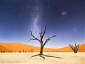 Click image for larger version

Name:	Nabmi-desert_Africa.jpg
Views:	50
Size:	290.2 KB
ID:	18597